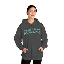 Load image into Gallery viewer, Sells Rocks Adult Hooded Sweatshirt