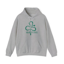 Load image into Gallery viewer, Dublin City Schools Original Logo Hoodie