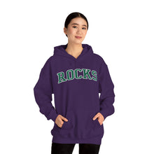Load image into Gallery viewer, Sells Rocks Adult Hooded Sweatshirt