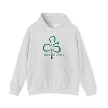 Load image into Gallery viewer, Dublin City Schools Original Logo Hoodie