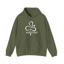Load image into Gallery viewer, Dublin City Schools Original Logo Hoodie
