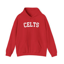 Load image into Gallery viewer, Jerome CELTS Unisex Heavy Blend™ Hooded Sweatshirt