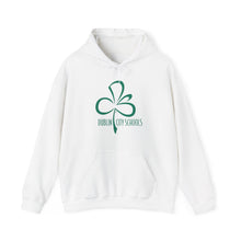Load image into Gallery viewer, Dublin City Schools Original Logo Hoodie