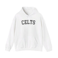 Load image into Gallery viewer, Jerome CELTS Unisex Heavy Blend™ Hooded Sweatshirt