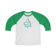 Load image into Gallery viewer, Dublin City Schools Original Logo Adult Baseball Tee