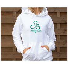 Load image into Gallery viewer, Dublin City Schools Original Logo Hoodie