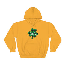 Load image into Gallery viewer, Dublin Plaid Shamrock ADULT Hooded Sweatshirt