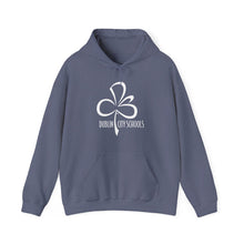 Load image into Gallery viewer, Dublin City Schools Original Logo Hoodie
