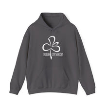 Load image into Gallery viewer, Dublin City Schools Original Logo Hoodie
