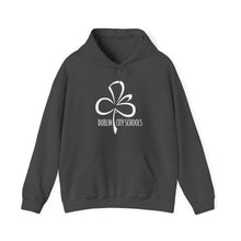 Load image into Gallery viewer, Dublin City Schools Original Logo Hoodie
