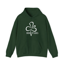 Load image into Gallery viewer, Dublin City Schools Original Logo Hoodie
