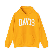 Load image into Gallery viewer, Davis Adult Hooded Sweatshirt
