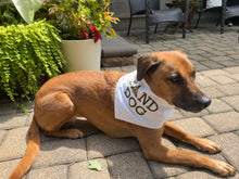 Load image into Gallery viewer, DJMB Band Dog Bandana
