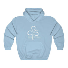 Load image into Gallery viewer, Dublin City Schools Logo Hooded Sweatshirt
