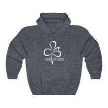 Load image into Gallery viewer, Dublin City Schools Logo Hooded Sweatshirt

