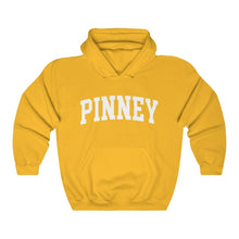 Load image into Gallery viewer, Pinney Adult Hooded Sweatshirt
