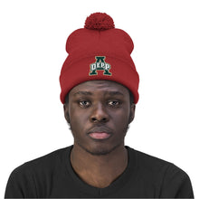 Load image into Gallery viewer, Depp Embroidered Pom Beanie
